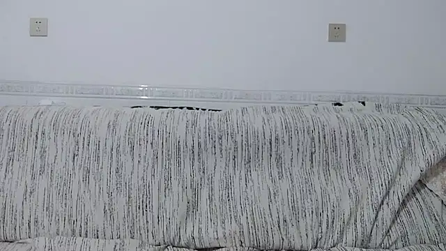                     88 online show from December 1, 2025, 4:52 pm