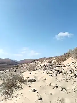 MountJohnXL online show from March 17, 2025, 4:22 pm