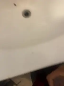 elmer067 online show from February 4, 2026, 3:07 pm