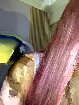 Sara  collins   online show from October 28, 2025, 12:26 pm