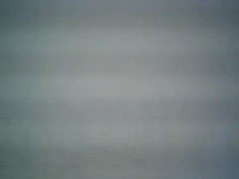 michel1520 online show from May 26, 2026, 4:32 am