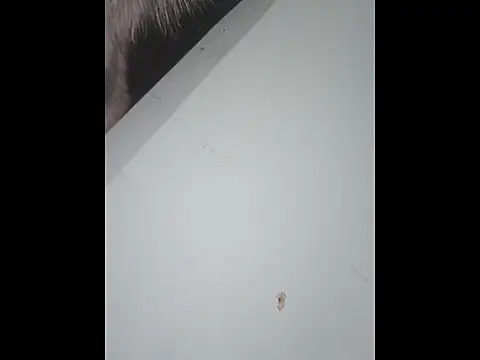 dany hardy online show from January 10, 2026, 10:05 pm