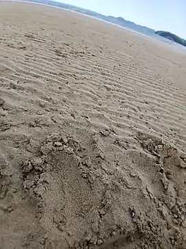 Snapshot of jacaranduba07 chatting on February 7, 2026, 4:37 pm jacaranduba07 online show from February 7, 2026, 4:37 pm