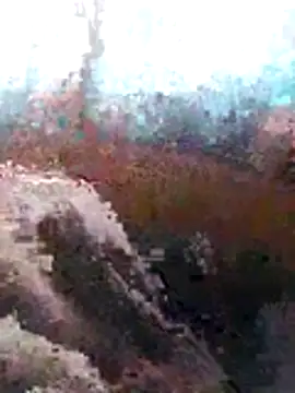 LaneYam online show from July 8, 2026, 6:36 am