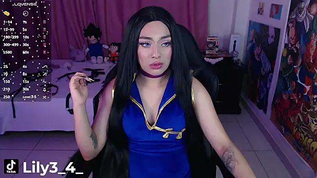 lily3 4 online show from February 26, 2025, 5:24 am