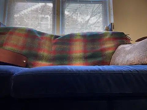 Snapshot of Prolapse_Pig chatting on February 4, 2025, 9:20 pm Prolapse Pig online show from February 4, 2025, 9:20 pm