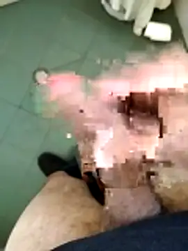 arveia online show from March 19, 2026, 8:58 am