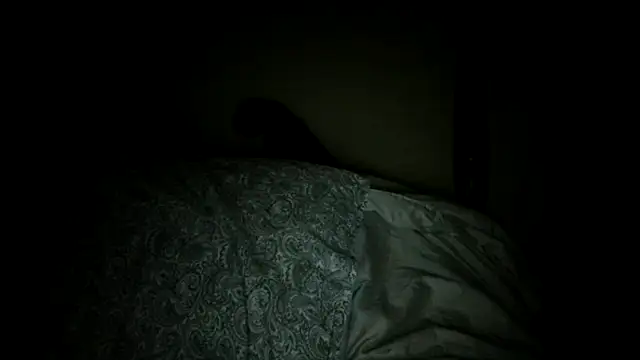 Snapshot of Soultouch1 chatting on December 1, 2025, 11:44 am Soultouch1 online show from December 1, 2025, 11:44 am