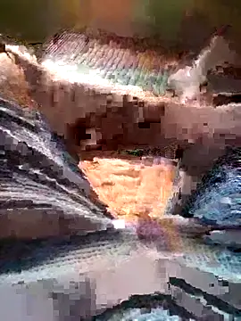 Raj41 online show from March 15, 2026, 10:33 am