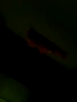 Raj41 online show from January 6, 2026, 12:58 am