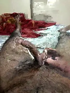 Royyy dandol online show from February 25, 2025, 4:35 pm