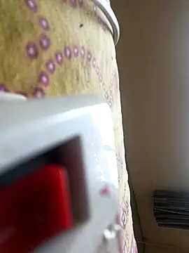 Royyy dandol online show from February 17, 2026, 6:33 am