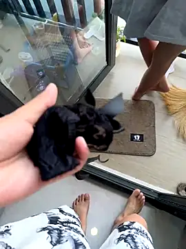 TOP po online show from October 30, 2025, 3:27 am