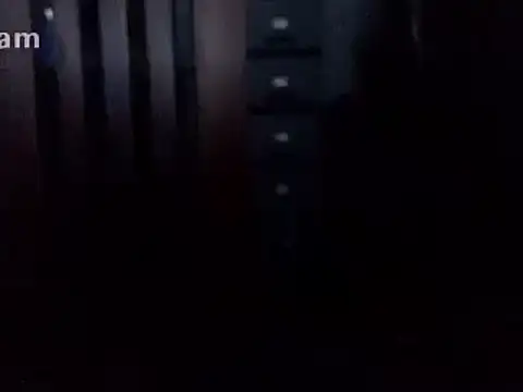 lolboy1234Z online show from February 24, 2025, 8:47 pm