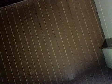 Nooneisthis online show from December 3, 2025, 6:36 am