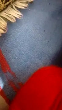 mhmia online show from February 5, 2025, 8:21 am