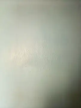 randit7 online show from March 20, 2025, 3:34 am