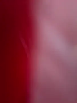 ALEXANDRA95 online show from February 11, 2025, 4:44 am