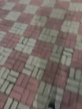 Phil 6677 online show from October 12, 2025, 6:53 pm