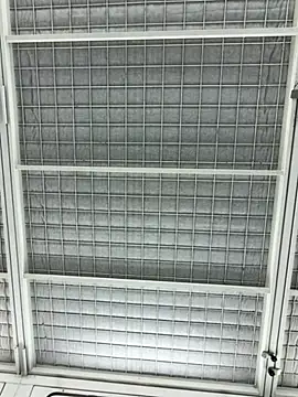 justeqqun online show from October 1, 2025, 10:09 am