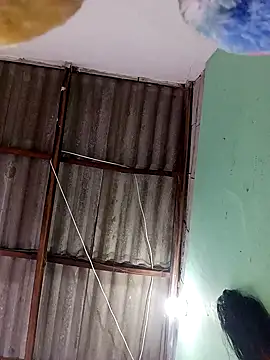 -Nicol online show from September 13, 2025, 10:04 am