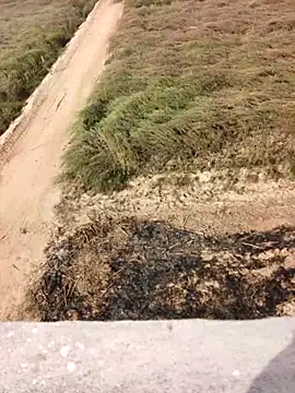 xmanrawan2 online show from February 12, 2026, 5:07 am