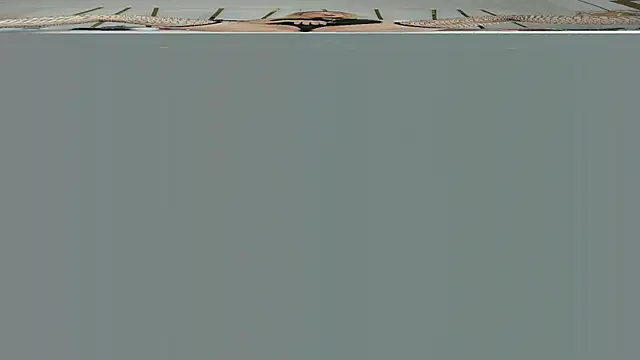 violet gray  online show from September 13, 2025, 10:54 pm