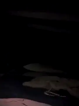 divinaerotica online show from December 20, 2025, 8:01 pm