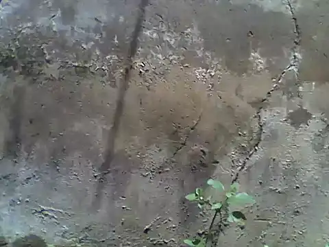 nee2526 online show from March 5, 2026, 10:01 am