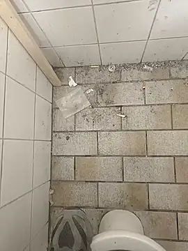 Snapshot of wadmma chatting on November 19, 2025, 8:47 am wadmma online show from November 19, 2025, 8:47 am