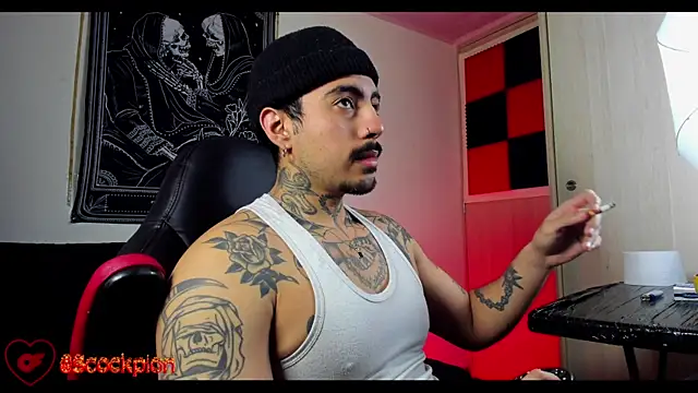 scockpion   online show from February 18, 2026, 8:33 am