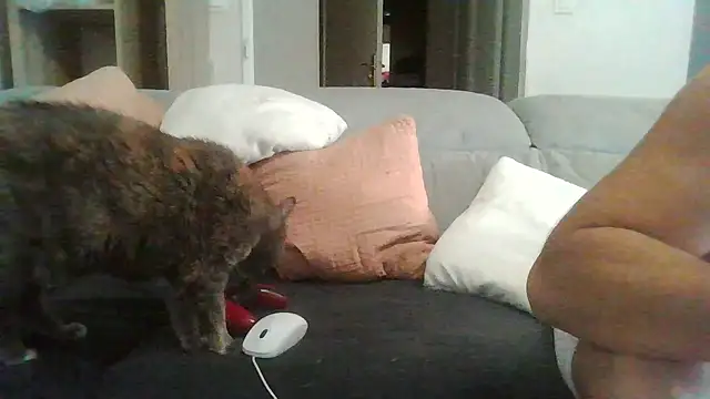 Snapshot of Zer_oki chatting on July 21, 2026, 6:42 pm Zer oki online show from July 21, 2026, 6:42 pm