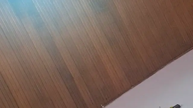 kyliebigboobs online show from September 30, 2025, 2:01 pm