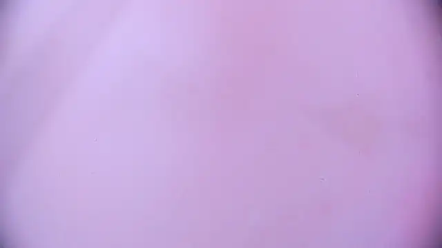 Ashlyaurora online show from March 11, 2025, 7:35 am