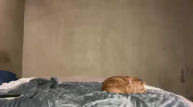 SophieStarShine online show from March 9, 2025, 10:52 pm