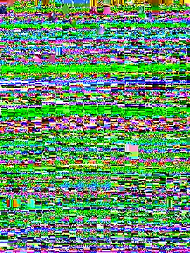 Maggie Geller online show from November 25, 2025, 4:40 pm