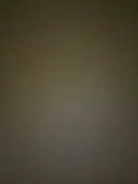 Arabian online show from February 28, 2025, 9:58 am