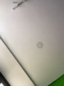 Dulce  Boyd online show from February 11, 2026, 2:39 pm