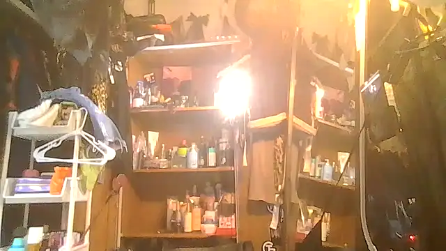 ShysluutGia online show from January 31, 2026, 10:08 pm