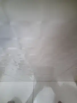 allisonbr online show from February 20, 2026, 8:27 am