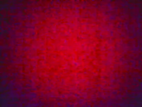 allisonbr online show from February 21, 2026, 1:02 pm