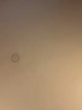 Snapshot of ValentinaOrtiz3 chatting on March 13, 2026, 12:37 am ValentinaOrtiz3 online show from March 13, 2026, 12:37 am