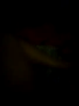 jonzzvergs online show from February 9, 2025, 12:30 pm