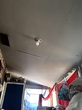 birdg online show from September 14, 2025, 6:19 pm