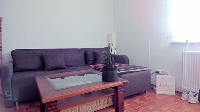 molicaremolicare online show from November 6, 2025, 7:34 am