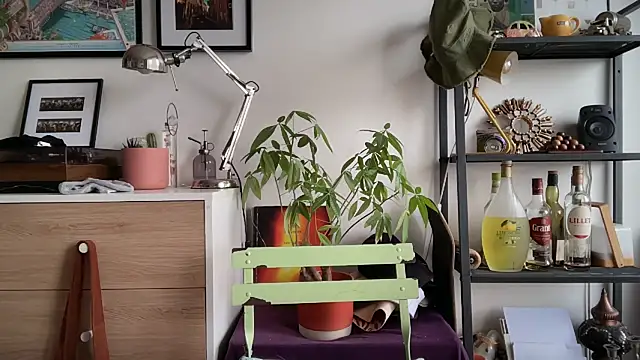 MikymikeBBWD online show from November 12, 2025, 11:47 am