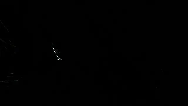 Aleshkastone online show from October 1, 2025, 11:19 pm