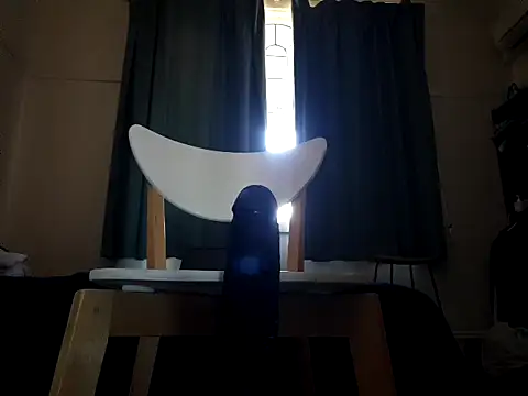 MystiqueRider online show from November 19, 2025, 6:35 am