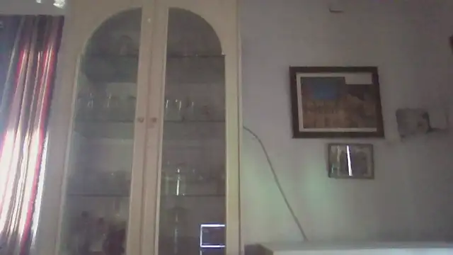 llopaco online show from November 28, 2025, 2:17 pm