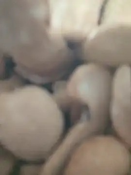 Khiro phnoe online show from February 8, 2026, 9:12 pm